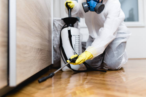 Best Local Pest Control Services  in Running Springs, CA