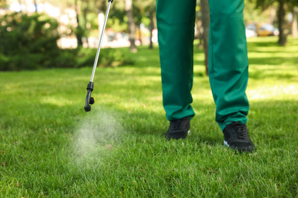 Best Best Pest Control Companies  in Running Springs, CA