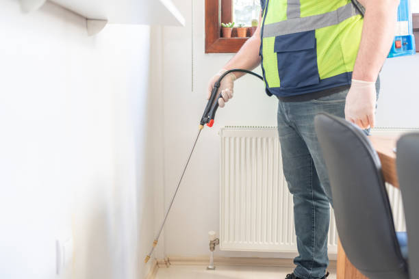 Best Bed Bug Extermination  in Running Springs, CA