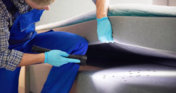  Running Springs, CA Pest Control Pros