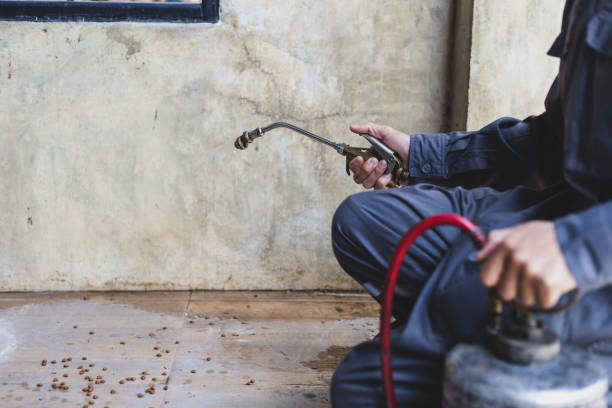 Pest Control Cost in Running Springs, CA